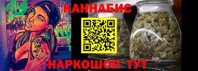 a pvp Камышлов