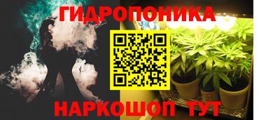 амф Канаш