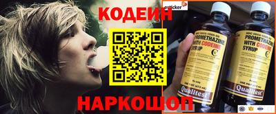 a pvp Камышлов