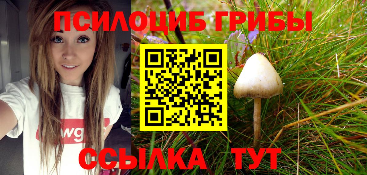 Янаул  Псилоцибиновые грибы Magic Shrooms  Вход с VPN 