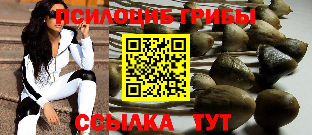 Псилоцибиновые грибы Cubensis Янаул